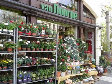 Standort Köln-Südstadt