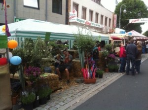 Foto35